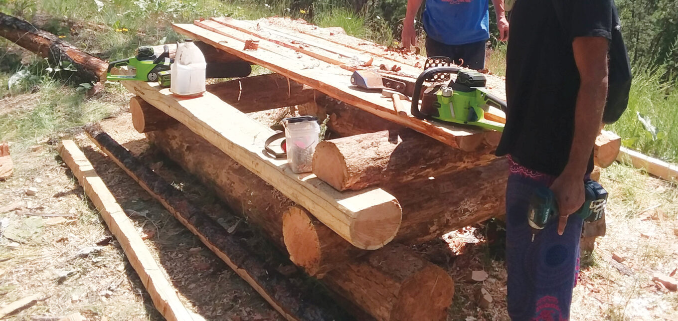 Learn to Homestead with SKIP – Mother Earth News - Vimarsana News